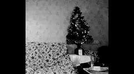 This ghost like object went past the Christmas tree