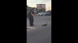 Officer escorts Mother Duck and her babies across 8 lanes of traffic