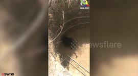 Shocking footage shows sloth bear being rescued from a dry well