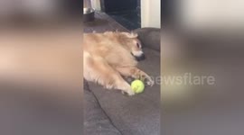 When you know you should go to the gym but really can't be bothered