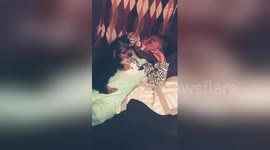 One-year-old gets surprise of a lifetime when she wakes up from nap