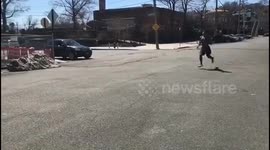 Long Jumped over a car cleared it, but slipped from the pebbles