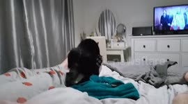 Frisky kitty