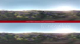 Texas Bluebonnet-TimeLapse-2018-4K- True Virtual Reality