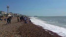 Bring on the heatwave! Brighton beachgoers make most of warm weather
