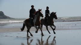 Horse riders and kite surfers out in the sun in Cornwall