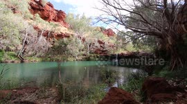 Fern Pool  Karijini National Park Western Australia