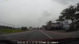 Moment the dog crosses the road and collides with the truck