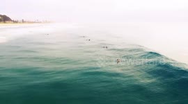 Drone footage - body surfing - Australia