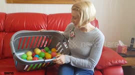 Cheeky cat keeps stealing dozens of children's ball-pit balls