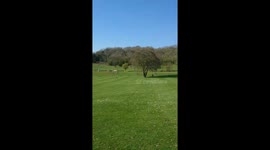 Heatwave in the park
