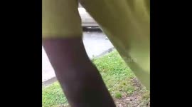 2 CHICKS PUT TO SLEEP Part 2