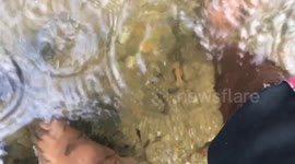 Nature fish therapy in jungle