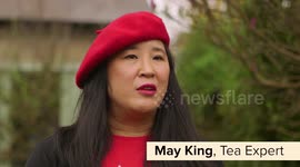 Experts have solved the age-old mystery of what a splash of milk REALLY means when making a cup of tea