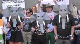Protest against the cruelty to India’s temple elephants, London, UK