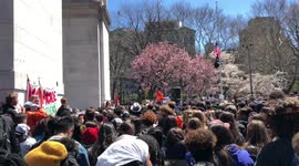 NYC students walk out of school in protest against gun violence