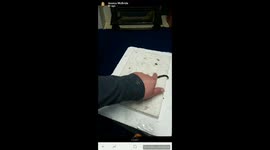 Little girl reacts to Worm