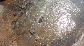 Massive Water Leak