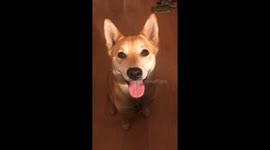 When you smile