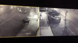 The Accident between two cars go with high speed