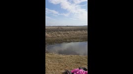 Polar plunge fail