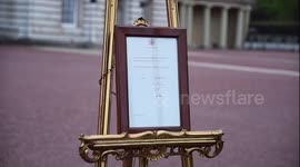 People line up to see royal baby notice outside Buckingham Palace