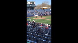 The good baseball doggo does a fetch