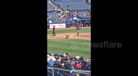 Newsflare Edit - The good baseball doggo does a fetch