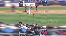 Probably the world's fluffiest baseball player