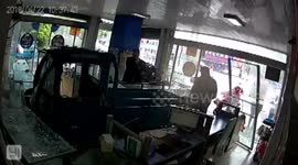 Dog drives three-wheeler into front of phone shop