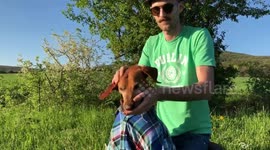 Stray dog gets the pampering of a lifetime