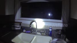 Owl surprise