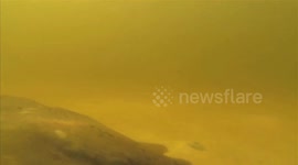 GoPro: Stingrays Underwater