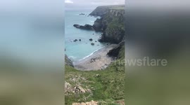 Newsflare Edit - North Cornwall delivered an unexpected bonus yesterday... @swcoastpath https://t.co/nLFsRyBoYH
