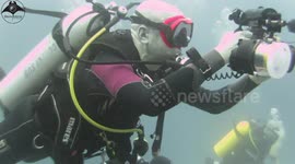 ‘A complete one-off’: UK diver surrounded by 30 reef sharks in Maldives
