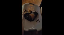 Laundry is done