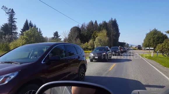 Tulip Festival Skagit Valley 2 Hour Traffic Jam