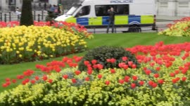 Spring has sprung at last in London beautiful colourful flowers outside Buckingham Palace at the top of pall mall