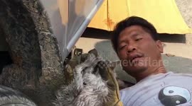 Kitten rescued after getting stuck in car engine