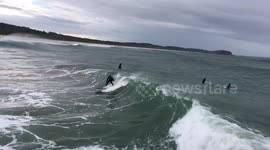 Surfing in Australia