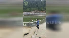 Man attacked by monkeys after intentionally pushing one into pool