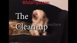 The Cleanup funny ending