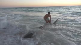 Perth fisherman reels in massive 12ft tiger shark on beach