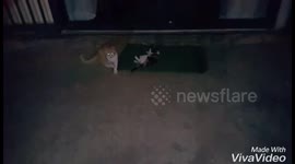 Mother and daughter fighting