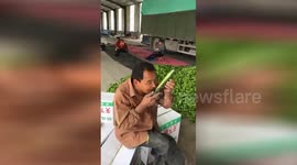 Would you buy a cucumber from this man?