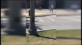 The coolest dog on campus wearing sunglasses and converse