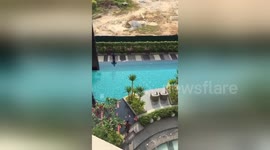 Monitor lizard goes for a swim in residential pool
