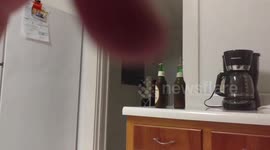 How to Open a Beer Bottle Without a Bottle Opener