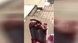 Fancy a corpsicle? Woman finds dead rat in ice pop