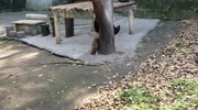 temp
